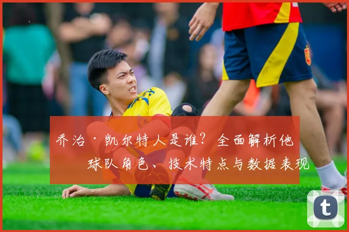 乔治·凯尔特人是谁？全面解析他的球队角色、技术特点与数据表现